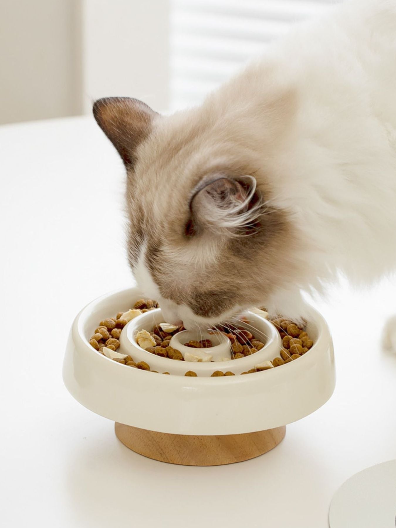 Pet Bowls
